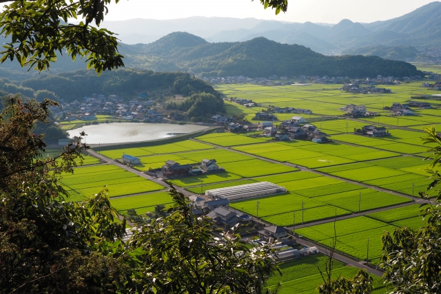 市街化調整区域　売却